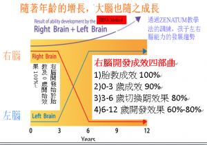 0-3-6-12歲右腦開發成效四部曲