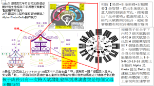 3合一生命密碼+右腦開發+易經發揮潛能