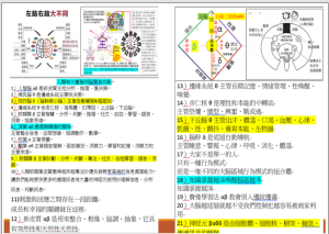 3重腦4腦業的潛能發揮