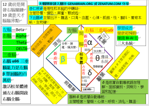 3重腦4腦葉機能全解析