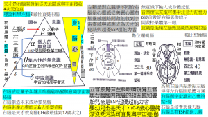 3重腦5元神