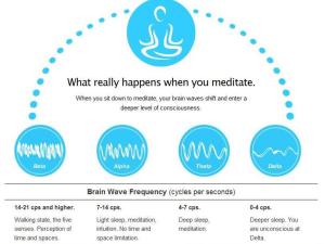 4brain waves