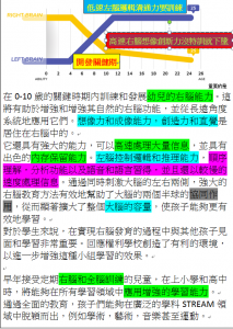 4歲起高速右腦想像創新力沒特訓就下墬