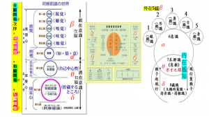 4腦波對應佛陀眼耳鼻舌身+意+末那+阿賴耶+阿摩羅識