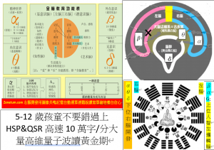 5-12歲孩童不要錯過上HSP&QSR高速10萬字分大量高維量子波讀黃金期