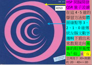 5D4D右腦高維HSP&QSR學習法取代傳統3D2D1D0D左腦教育為全腦時代