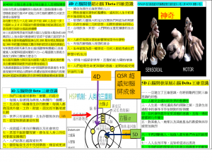 5D與全腦超感知全息高速腦日讀10書