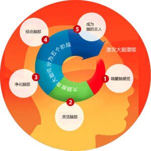 5step brain education