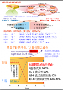 6歲前嬰幼兒右腦開發