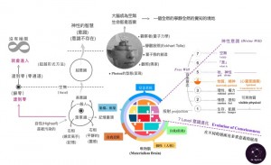 7LEVEL意識進化