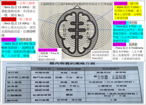 7腦內分泌活化物質