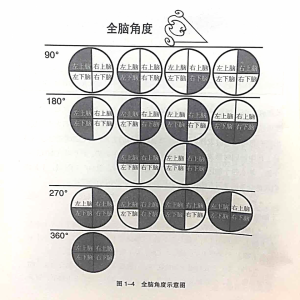 BRAIN全腦90-180-270-360度視角