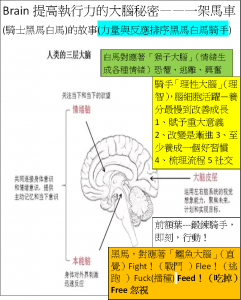 Brain一個馬車故事揭開大腦秘密