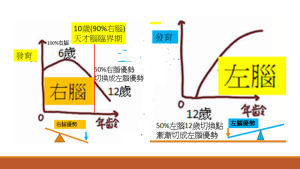 Brain優勢切換臨界歲為12歲