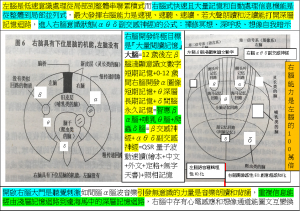 Brain右腦開發終極目標波讀記憶由知識化為智慧