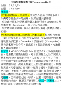 Brain大腦10腦波精細度探討