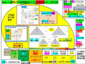 Brain樂活使用間腦右腦全腦