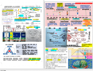 B無價的右腦開發