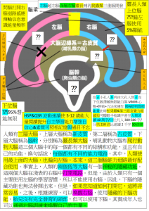 HSP&QSR三重腦無限神秘潛能