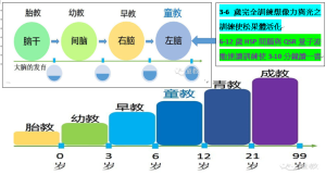 hspqsr%e5%a1%91%e9%80%a0%e5%a4%a9%e6%89%8d%e5%9f%ba%e5%9b%a0