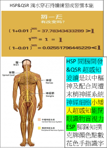 HSP&QSR小矮人神經細胞超強感知力