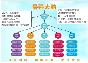 HSP&QSR最強大腦養成