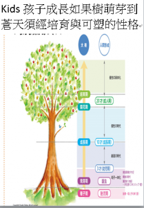 Kids孩子成長如果樹萌芽到蒼天須經培育與可塑的性格