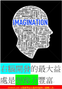 RBD右腦開發的最大益處是想像力豐富