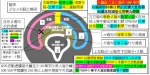 RBD右腦開發終極目標是波讀大量書籍