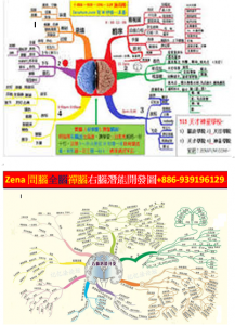 RB右腦潛能開發3