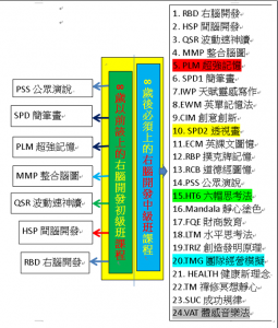 Right Brain右腦開發