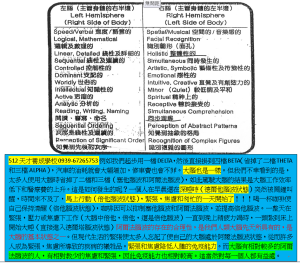 SPERRY左右腦與4黨腦波