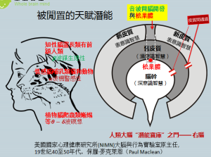 TRI進化人類三腦