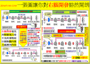 ZENATUM.COM一張圖讓你對右腦開發豁然開朗