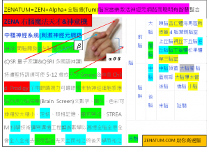 ZENA右腦天才機&神童機