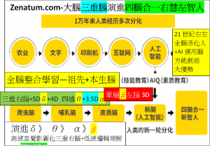 Zenatum.com-大腦三重腦演進四腦合一右慧左智人