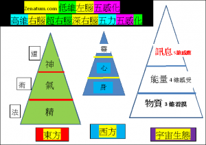 Zenatum.com低維左腦五感化與高維右腦超右腦深右腦五力五感化