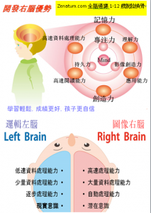 Zenatum.com全腦通讓1-12歲右腦開發脫胎換骨