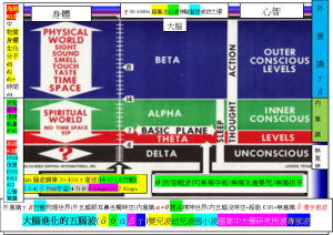 brain大腦進化的五腦波(δθαβγ)嬰兒波-幼兒波-國小波-國高中大學研究所波-專家波A+