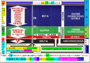 brain大腦進化的五腦波(δθαβγ)嬰兒波-幼兒波-國小波-國高中大學研究所波-專家波A