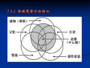 brain思維是智力核心