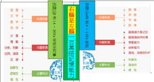 memory右腦記憶能力是左腦100萬倍