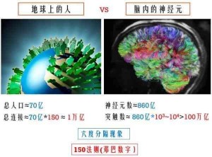 neuro神經元數目