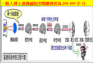 一般常人經6道傳感程序閱讀速度為每分200-400字