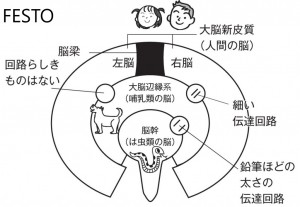 三位一體的腦科學