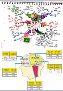 右腦圖像記憶法