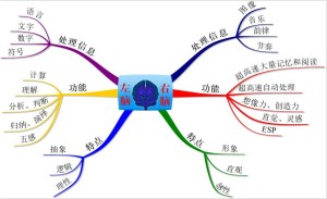 右腦思維島圖