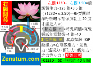 右腦開發右腦3.5D超右腦4D深右腦5D加上左腦123D=全腦開發=大腦開發