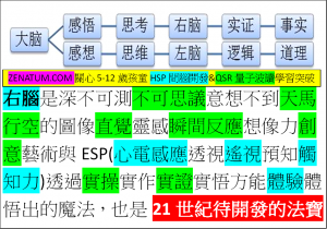 右腦開發是實操體驗感悟的實相非道理