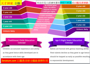 天才神童右腦開發才能全腦來自於從小訓練有素的神經元刺激成右腦高速迴路